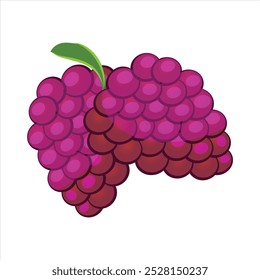 Uvas Cabernet frescas