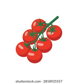 Fresh bunch of cherry tomatoes on green vine vector illustration isolated on white background