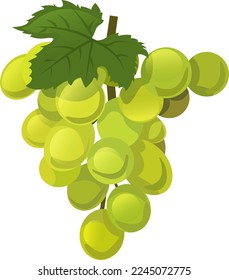 Fresh bunch of grapes icon on white background. vector illustration in flat style
