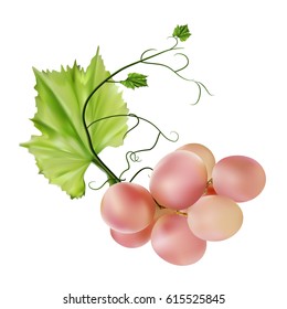 Fresh bunch of grapes purple pink on white background. Manufacturer of fresh juices and wine. Health and parties.