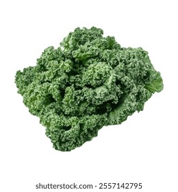 A fresh bunch of kale, showcasing its textured, leafy greens, often used in healthy dishes.