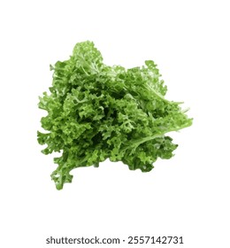 A fresh bunch of leafy green lettuce, ideal for salads and healthy dishes.