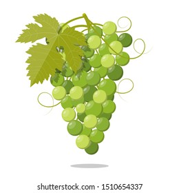 Fresh bunch of White grapes Leaf icon on white background. illustration in flat style Vector