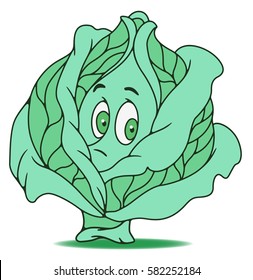 Fresh cabbage cartoon
