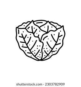 fresh cabbage doodle icon vector. vector hand drawn illustration of fresh cabbage vegetable, isolated outline clipart on white background