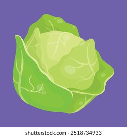 Repollo fresco con hojas verdes. Vector de iconos de vegetales de repollo. ilustración de repollo.