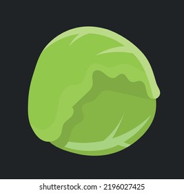 Fresh cabbage icon. Salad ingredient, natural and organic product. Vegetarianism, health care and vitamins. Proper nutrition, diet. Poster or banner for website. Cartoon flat vector illustration