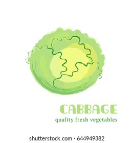 Fresh cabbage isolated on white background. Healthy food for the design of menus, posters, websites and postcards. Hand-drawn color vegetable design. Vector illustration.
