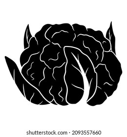 Fresh cabbage. A large swing of cauliflower. Ingredient for the kitchen. Silhouette. Vector illustration for design and decoration.