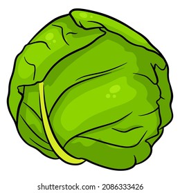 Frischer Kohl. Ein großer Schwung Kohl. Ingredient für die Küche. Cartoon-Stil. Vektorgrafik für Design und Dekoration.