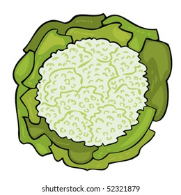 Fresh cabbage with a lot of leaves.