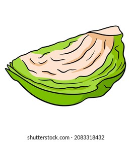 Basura fresca. Cucaracha de col cortada. Ingrediente para la cocina. Estilo de caricatura. Ilustración vectorial para diseño y decoración.