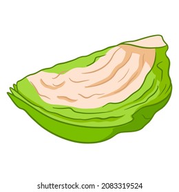 Fresh cabbage. Sliced cabbage roach. Ingredient for the kitchen. Cartoon style. Vector illustration for design and decoration.