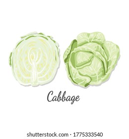 Fresh Cabbage vegan food vector design.