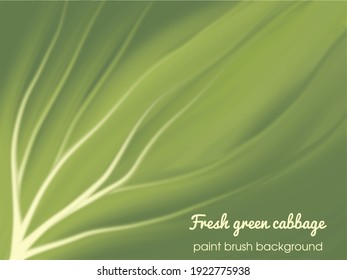 Fresh cabbage vegetable background with a painting brush