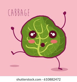 fresh cabbage vegetable character