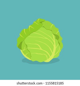 Fresh Cabbage Vegetable Vector,  Green leaf, Flat Icon