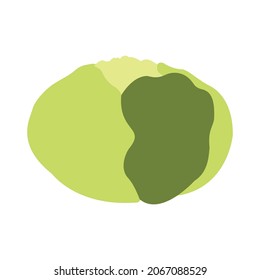 Vector vegetal de col, hoja verde, icono plano