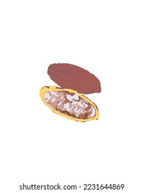 fresh cacao fruit object vector illustration