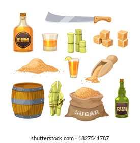 Fresh cane sugar with stem and leaf plants set. Sugarcane plants, cane sugar lumps and cube, glass bottles of rum, bamboo, rum alcoholic liquid. Natural organic alcohol industry food cartoon vector