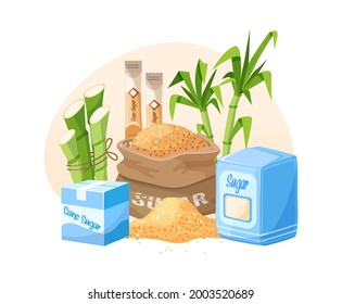 Fresh cane sugar with stem and leaf plants set. Sugarcane plants, cane sugar lumps and cube, glass bottles of rum, bamboo, rum alcoholic liquid. Natural organic alcohol industry food cartoon vector