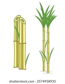 Fresh cane sugar with stem and leaf plants set. Sugarcane plants, cane sugar lumps, bamboo. Natural organic alcohol industry food cartoon stock illustration