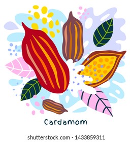 Fresh Cardamom Juice Splash Organic Food Condiment Spice Splatter On Abstract Colorful Splatter Splash Background Vector Hand Drawn Illustrations