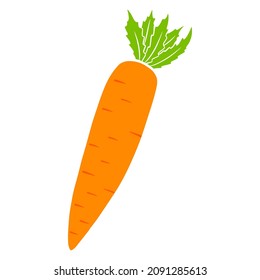 Fresh carrot. Bright orange carrot. Ingredient for the kitchen. Cartoon style. Vector illustration for design and decoration.