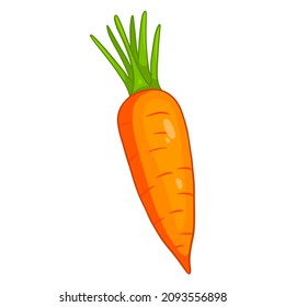 Fresh carrot. Bright orange carrot. Ingredient for the kitchen. Cartoon style. Vector illustration for design and decoration.