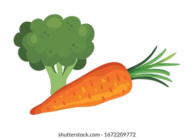fresh carrot with broccoli vegetables vector illustration design