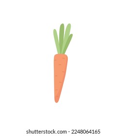 Fresh carrot, cartoon flat vector illustration isolated on white background. Healthy vegetable drawing. Food for rabbit or bunny. Concept of Easter celebration.