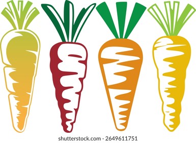 Fresh Carrot Colorful Vector Illustration Collection