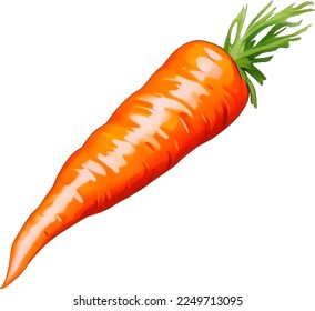 Fresh Carrot Detailed Beautiful Hand Drawn Vector Illustration