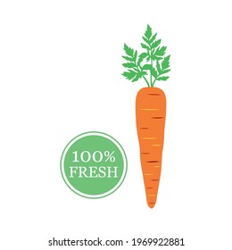Fresh carrot graphic vector illustration