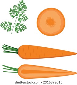 Fresh carrot. Fresh healthy vegetables