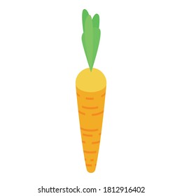 Fresh carrot icon. Isometric of fresh carrot vector icon for web design isolated on white background