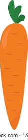 Fresh carrot, illustration, vector on white background.