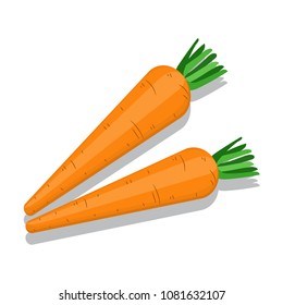 Fresh carrot isolated on white background. Vegetables for the market and supermarkets, fresh produce from the farm. Organic food.
