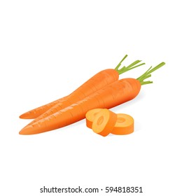 Fresh carrot isolated on white background, vector illustration.