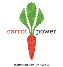 Fresh carrot with leaves - pover vector