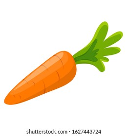 Fresh carrot for with leaves salad. Tasty healthy vegetable. Ingredient for cooking at home. Natural organic nutrition. Flat vector illustrations