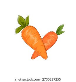 fresh carrot with leaves without background
