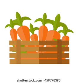 Fresh carrot at the market vector. Flat design. Delivery farm products, grocery store assortment, foods for diet concept. Illustration of wooden box full of ripe vegetables. Isolated on white.