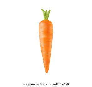 fresh carrot on white background