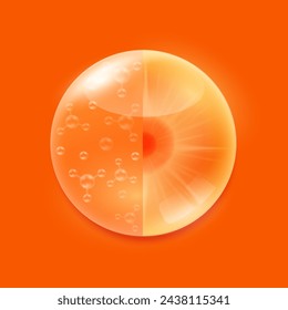 Rodaja de naranja zanahoria fresca y solución de gel sérico. Frutas cítricos ricos en vitaminas y minerales. Suplementos naturales de vitamina A. Ilustración vectorial EPS10.