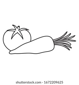 fresh carrot with tomato vegetables isolated icon vector illustration design