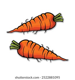 
Fresh carrot vagetable illustration design