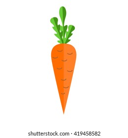 Fresh carrot vector flat illustration. 