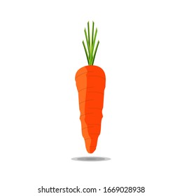 Fresh carrot vector, for graphic designer logos and web pages.