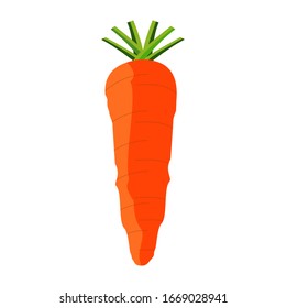 Fresh carrot vector, for graphic designer logos and web pages.